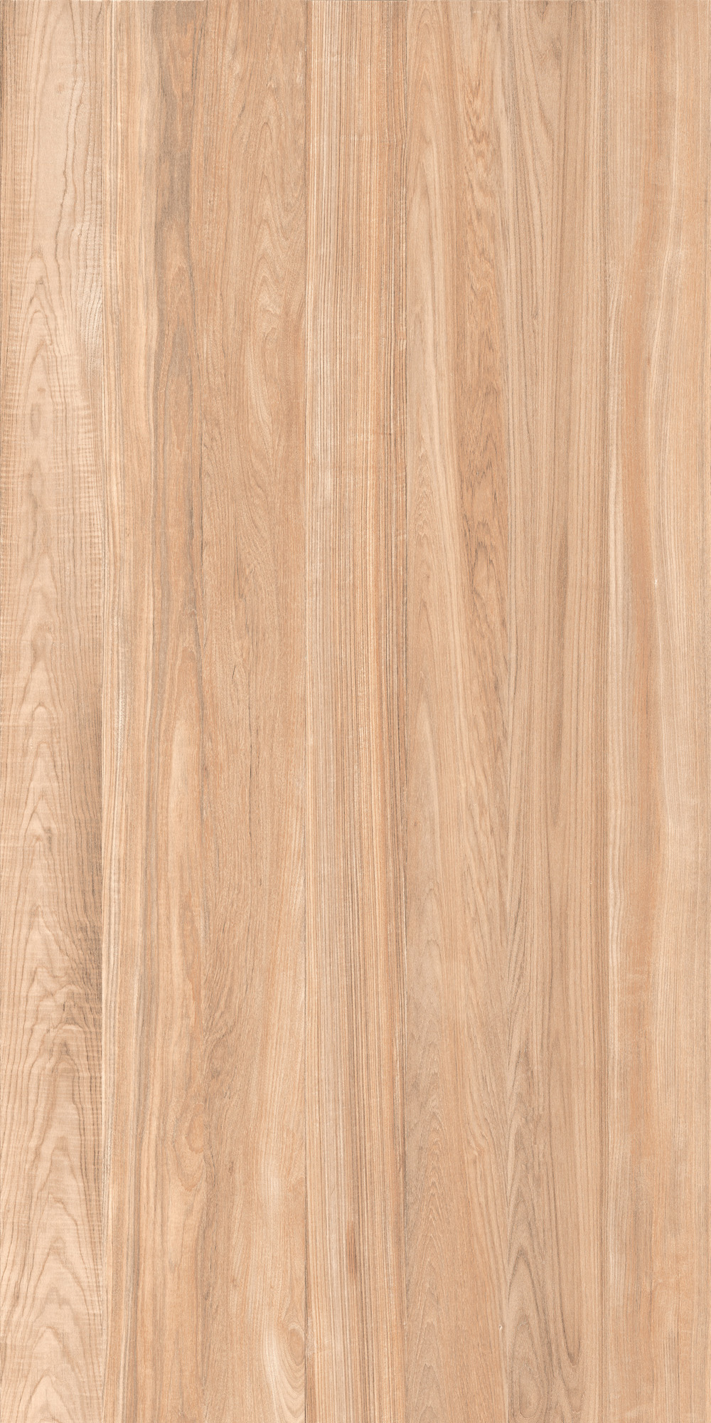 CALGARY WOOD BEIGE Living Room - Day Ambience